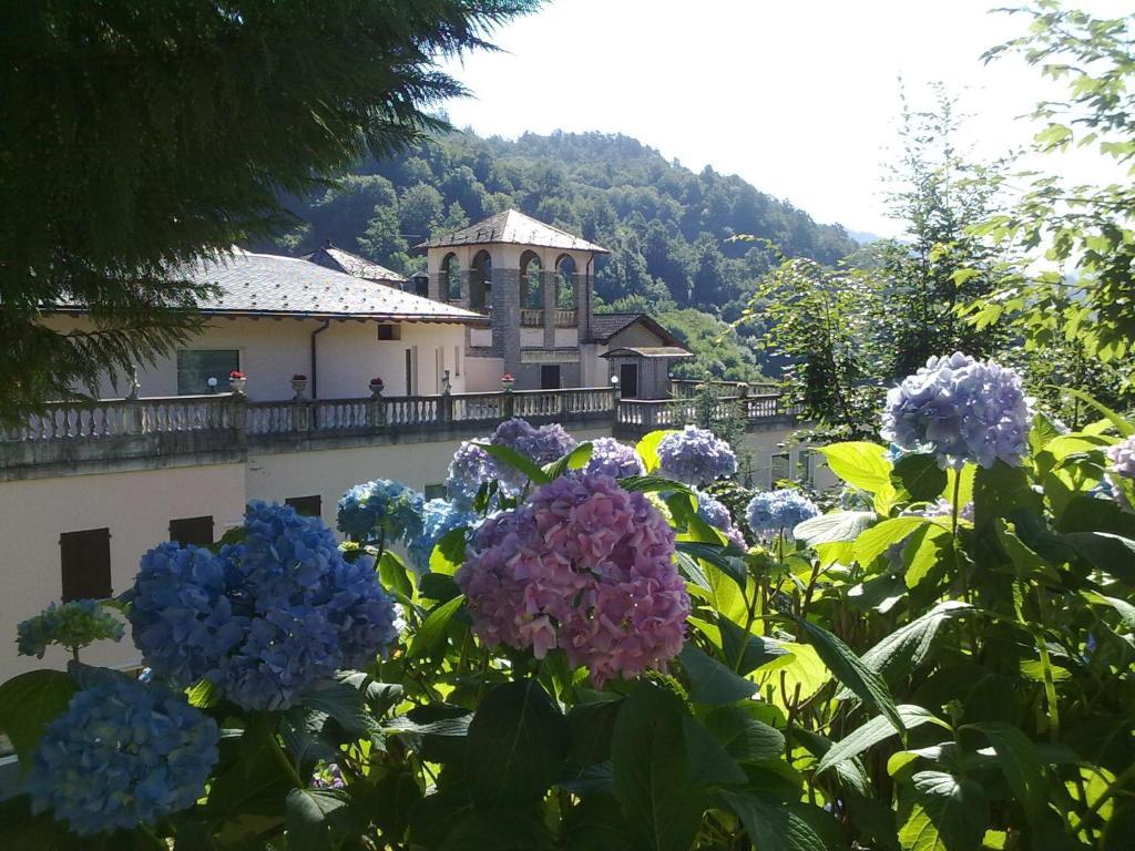 Hotel Villa Delle Ortensie Sant'Omobono Imagna Dış mekan fotoğraf